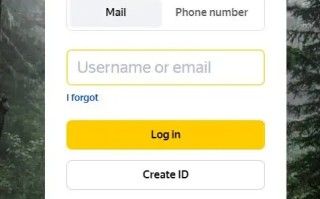 《Yandex》中文设置方法