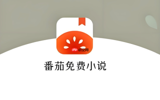 番茄免费小说真的免费吗_番茄免费小说收费情况说明