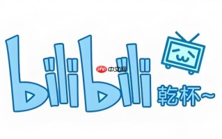 bilibili正版官网入口地址_bilibili高速镜像站点链接