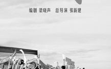 100部知青下乡电视剧，历史与艺术的交织