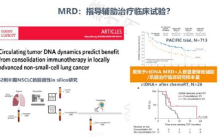 奔跑吧兄弟第10季,精彩环节与亮点解析-综艺节目新篇章