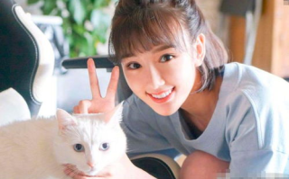 揭秘毛晓彤个人资料：才华与美貌并存的魅力女星
