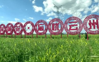 忘忧草社区在线影视，观影新体验-优势与优化解析
