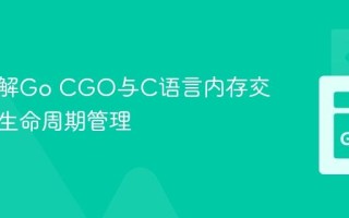 深入理解Go CGO与C语言内存交互中的生命周期管理