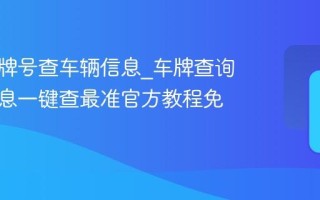 输入车牌号查车辆信息_车牌查询车辆信息一键查最准官方教程免费