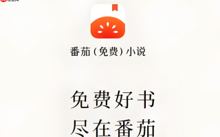 番茄免费小说看广告没有奖励是什么原因_番茄免费小说广告奖励异常原因