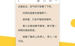 小说免费阅读,探索无限文学世界-平台选择与版权意识