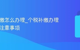 个税补缴怎么办理_个税补缴办理渠道与注意事项