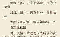 黄玫瑰歌词原唱揭秘-深情旋律背后的故事