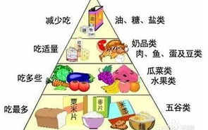 健康饮食与营养均衡,减肥食谱解析-打造理想体型
