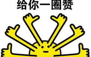 樱花动漫如何直接观看-版权与使用指南解析