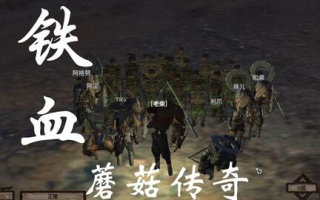 铁血传奇：历史中的英雄与荣耀-战争与和平的深刻反思