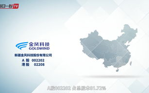 金风科技股份有限公司,新能源技术领导者-企业发展战略解析