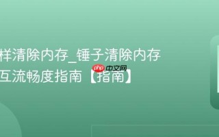 锤子怎样清除内存_锤子清除内存优化交互流畅度指南【指南】