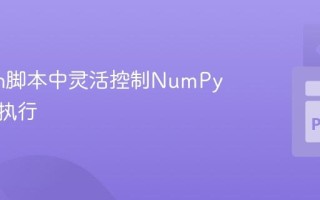 Python脚本中灵活控制NumPy断言的执行
