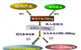 10大壮阳最好最快药-效果与安全性解析