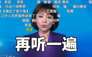 央视一套直播在线观看攻略-高清流畅观看指南