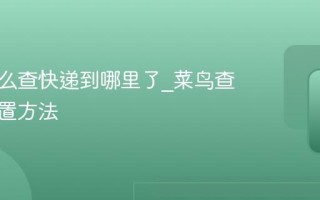 菜鸟怎么查快递到哪里了_菜鸟查快递位置方法