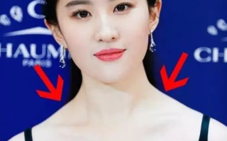 揭秘刘亦菲的个人资料：从“仙女姐姐”到国际巨星