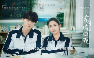 免费电视剧在线观看,版权保障下的娱乐体验-合法观看指南