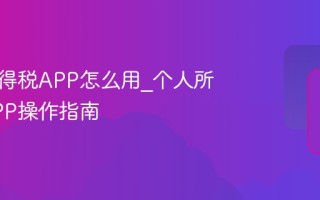 个人所得税APP怎么用_个人所得税APP操作指南