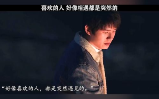 陆少的暖婚新妻-爱情与责任的完美交织