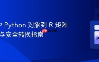 rpy2 中 Python 对象到 R 矩阵的高效与安全转换指南