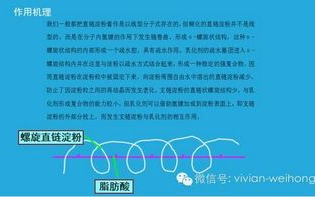 厨房里的春天，让美食与自然和谐共生