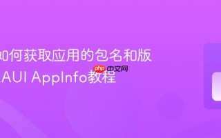 MAUI如何获取应用的包名和版本号 MAUI AppInfo教程