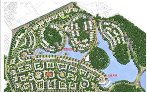 构建和谐社区,有效策略与实践指南-解决方案解析