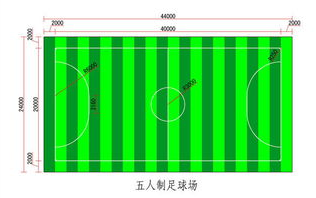 五人制足球场造价预算解析与合理规划