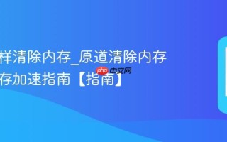 原道怎样清除内存_原道清除内存释放运存加速指南【指南】