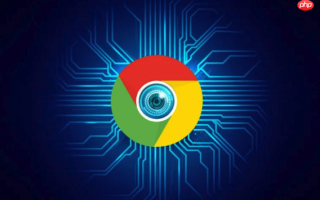 Google浏览器网页入口 Google浏览器官方网页网址