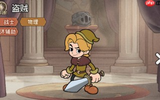 《冒险之星》普通英雄盗贼图鉴