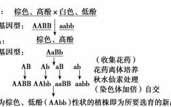 瘾诱成因与解决之道-深度解析与对策探讨