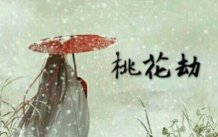 桃花劫,情感纠葛的奥秘与应对之道-心理学解析