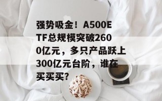 强势吸金！A500ETF总规模突破2600亿元，多只产品跃上300亿元台阶，谁在买买买？
