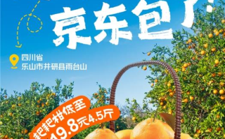 京东包园了！“柑橘顶流”耙耙柑12月20日果园直发  4.5斤只需19.8元