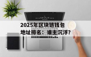 2025年区块链钱包地址排名：谁主沉浮？