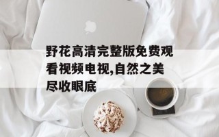 野花高清完整版免费观看视频电视,自然之美尽收眼底
