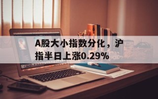 A股大小指数分化，沪指半日上涨0.29%