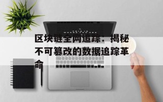 区块链全网追踪：揭秘不可篡改的数据追踪革命