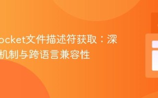 Java Socket文件描述符获取：深入反射机制与跨语言兼容性
