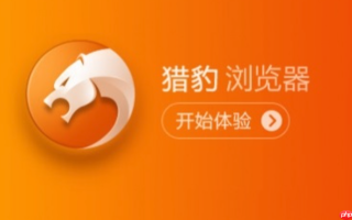 猎豹安全浏览器免登录官网入口地址 猎豹安全浏览器搜索引擎官网入口