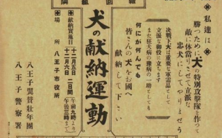 沉香如屑的文化内涵与生活应用-深度解析与实用指南