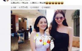 姐姐直播tv,多元化直播体验-平台特色与优势解析