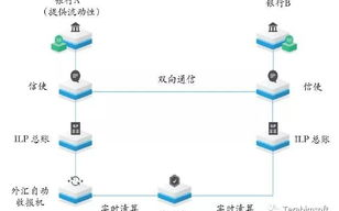 达摩区块链社区：构建未来价值互联网的基石