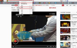 免费在线视频入口指南-轻松观看无广告视频