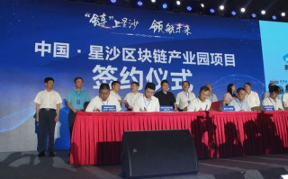 揭秘华叶区块链研究所：引领2025年科技前沿的神秘力量
