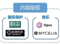2025年，区块链如何重塑版权保护的未来？